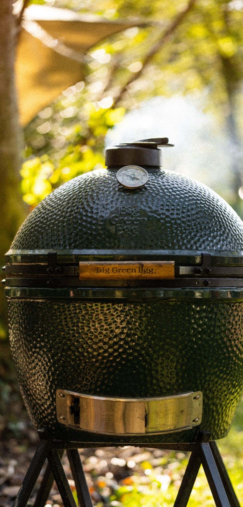 GreenEgg22-10-21MattAustin-295