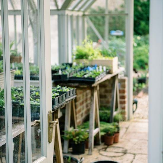 GREENHOUSE DETAIL_5