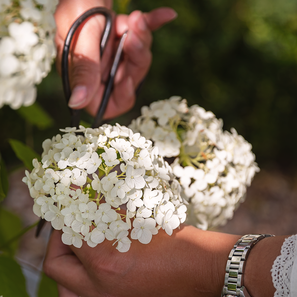 Kitchen Case Study- Katie Blunt AE3I4651