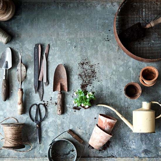 Hannah_Flowers_16_RT_2018