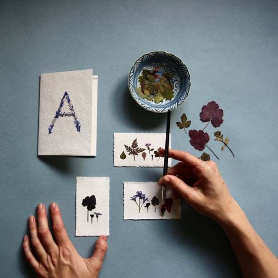 Izzi Hudson - flower pressing