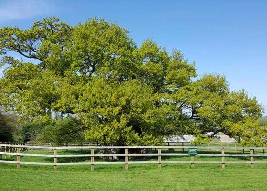 19990288_1922623524663848_3278812304276344254_n