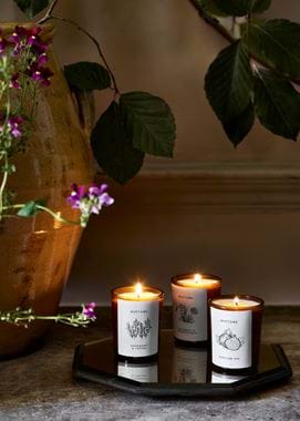 TRIO_OF_CANDLES_013