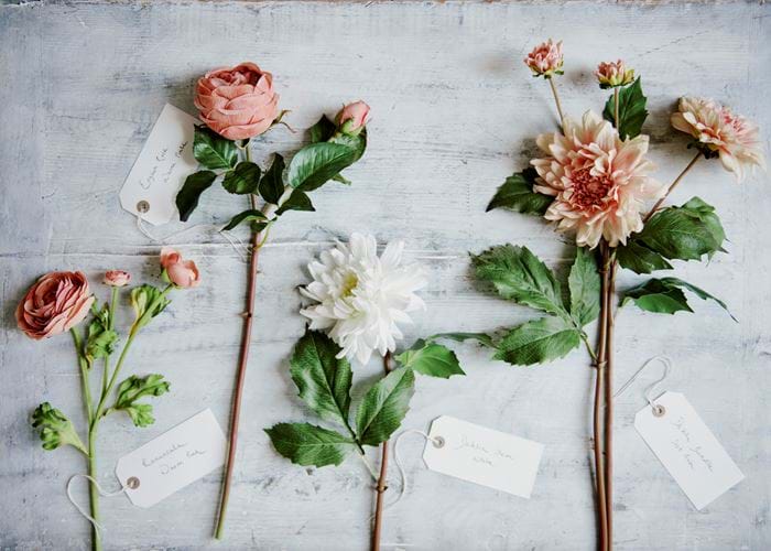 SS21 Floral Stems 01