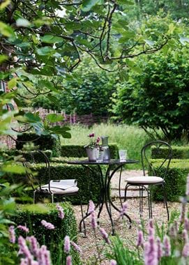 PROVENCE_LILY_025_RT