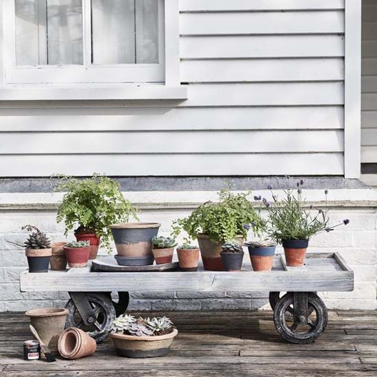 Pots on wheels outside