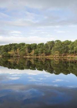 Brownsea Island via NT
