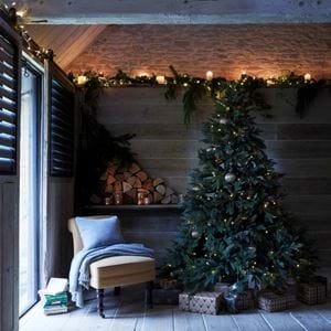 C_S_tree_&_lights_web_041