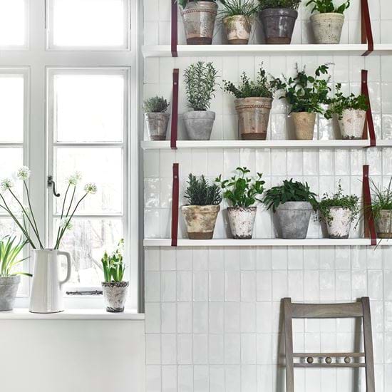 TILED_HERB_WALL_006