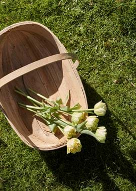 BELCOMBE_COURT_GARDEN_DETAILS_176