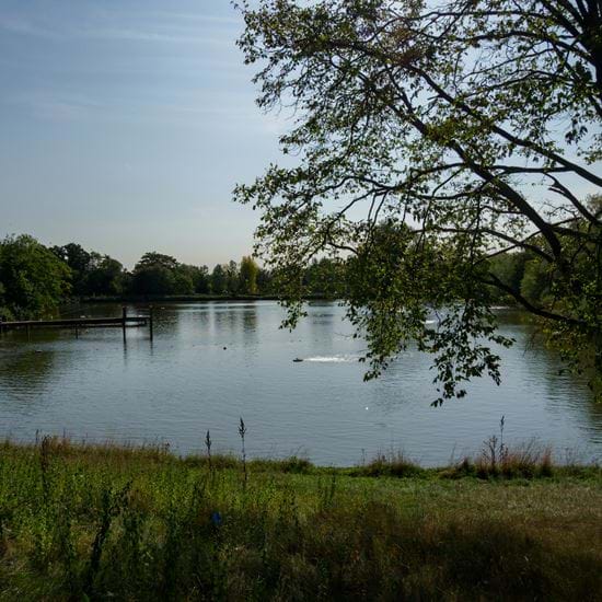 Lakes for swimming
