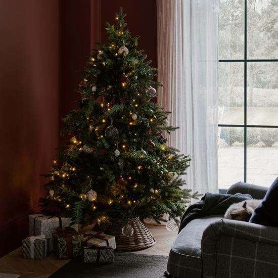 ALBERT 6FT TREE_RT