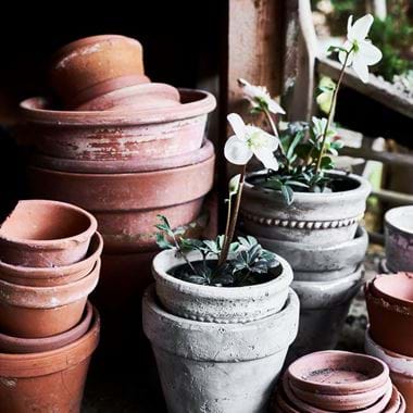 POTTING_SHED_016