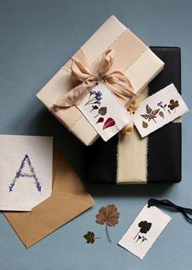 Izzi Hudson - flower pressing